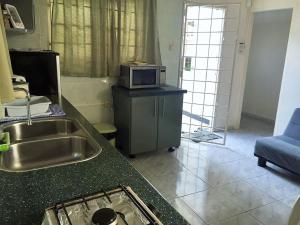 a kitchen with a sink and a microwave on a counter at Chalet Anna's Pavalesto in Landsboerderij
