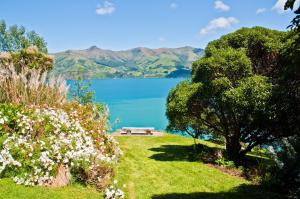 a bench sitting on the grass next to a lake at Mumfords in Akaroa