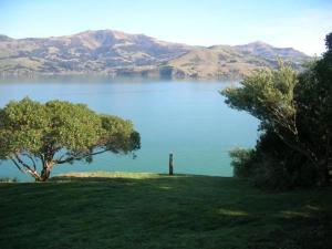 a person standing on a hill near a lake at Mumfords in Akaroa