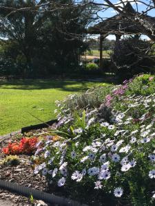 Κήπος έξω από το Yellow Gum Bed and Breakfast +10 φωτογραφίες