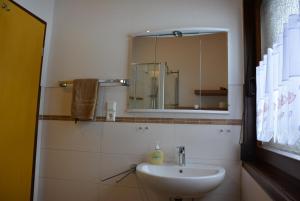 a bathroom with a sink and a mirror at Ferienhaus Starenweg 8 in Tennenbronn