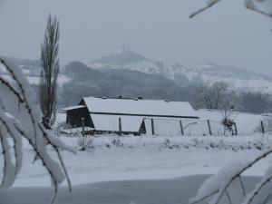 Bauernhof Flucher-Plaschg v zimě