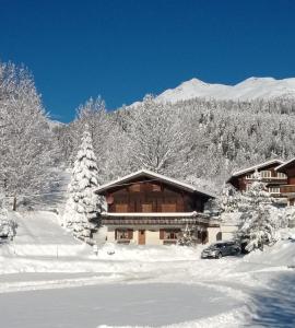 a cabin in the snow with snow covered trees at Chalet Pinocchio in Mühlebach