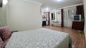 a bedroom with a bed and a kitchen and a television at Myru Apartment in Chernihiv