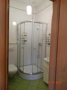 a bathroom with a shower and a toilet at Dworek Karpacz in Karpacz