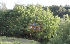 Zahrada ubytování Les Cabanes en Provence