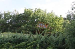 Zahrada ubytování Les Cabanes en Provence