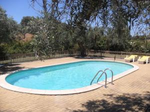 a large swimming pool in a yard with chairs and a tree at Monte da Pereira in São Cristóvão