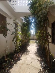 an empty hallway with plants in a building at Kwale Golden Guest House in Kwale