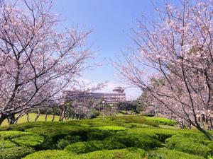 指宿市にある指宿いわさきホテルのギャラリーの写真 +58枚の写真