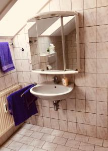 a bathroom with a sink and a mirror at Villa Goncalves, Komplette Wohnung mit Parkplatz und Wallbox vor der Tür in Calw +21 photos