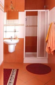 La salle de bains est pourvue d'une douche et d'un lavabo. dans l'établissement Hotel Miły, à Krosno