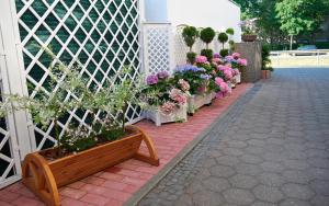 a row of potted flowers in a white fence at Haus Mooren, Hotel Garni in Düsseldorf