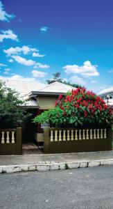 una casa con un arbusto de flores rojas en una valla en Hotel Aranjuez, en San José