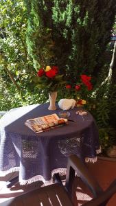 Zahrada ubytování Haus Annegrete mit überdachter Terrasse zum Garten
