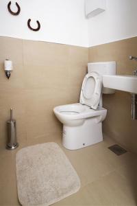 トールミンにあるApartments Mengoreのバスルーム(トイレ、洗面台付)