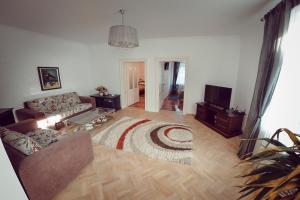シビウにあるAntique Apartment Sibiuのリビングルーム(ソファ、テレビ付)