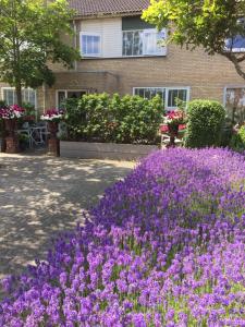 Zahrada ubytování B&B De Koog Texel