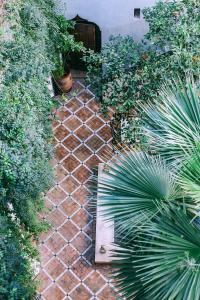 a garden with a brick pathway with plants at Riad Le Rihani in Marrakesh