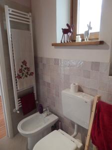 y baño con aseo y lavamanos. en Casa delle Antiche Pietre, en Cannero Riviera