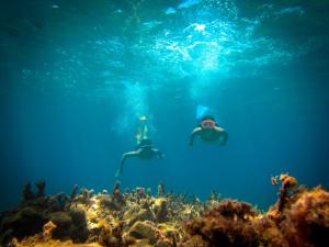 dos personas nadando sobre un arrecife de coral en Ravdoucha Beach Studios, en Ravdhoúkha