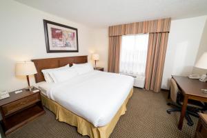 a hotel room with a large bed and a window at Holiday Inn Express & Suites Drayton Valley, an IHG Hotel in Drayton Valley