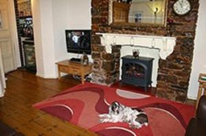 a dog laying on a rug in a living room with a fireplace at Brixham House in Brixham