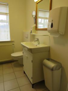 Ένα μπάνιο στο Guesthouse Kálfafellsstadur +41 φωτογραφίες