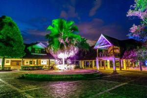 een palmboom voor een gebouw 's nachts bij Hotel Hacienda Gualanday in Villavicencio