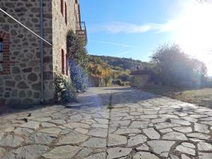 Gallery image of Ξενώνας Αριάδνη - Guesthouse Ariadni in Lemos +27 photos