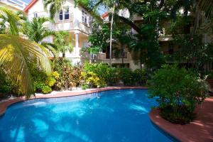 聖佩德羅的住宿－棕櫚樹海濱套房酒店，大楼前的大型蓝色游泳池