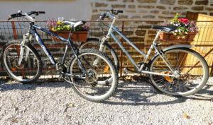 duas bicicletas estacionadas ao lado de uma parede com flores em chambres d'hôte Le Marronnier em Champrougier