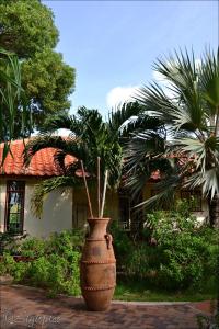 Zahrada ubytování B&B Villa Zomerland