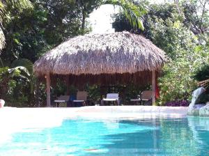 Bazén v ubytování B&B Villa Zomerland nebo v jeho okolí