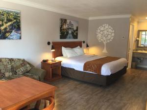 a hotel room with a bed and a couch at Journey Inn in Woodland