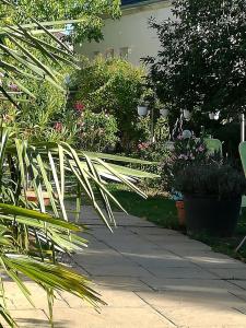 a garden with plants and flowers on a sidewalk at la Rosaliere in Chabournay