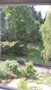 
a train on a train track near a forest at Holzwerk Oybin in Kurort Oybin
