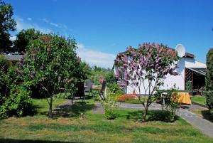 アルテフェーアにあるBungalow in Altefaehrのピンクの花々が咲く2本の木がある庭園