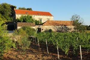 an old building with a bunch of vines in front at Villa Violić in Zaton