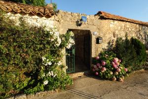 a stone building with a door and some flowers at Villa Violić in Zaton