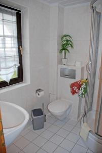 a white bathroom with a toilet and a sink at Ferienhaus Christa in Klein Zicker
