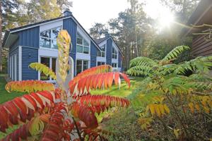 une maison bleue avec une plante devant elle dans l'établissement Strandhaus Traumland mit Terrasse, à Baabe