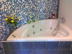 Bilik mandi di Family hotel Maxim