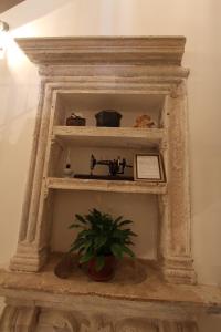 a stone shelf with a plant in a room at Villa Violić in Zaton