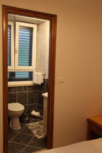 a bathroom with a toilet and a window at Villa Violić in Zaton
