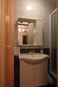a bathroom with a sink and a mirror at Villa Violić in Zaton
