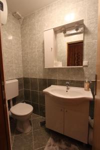 a bathroom with a toilet and a sink and a mirror at Villa Violić in Zaton