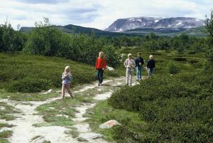 un grupo de niños caminando por un camino de tierra en Lia Fjellhotell, en Geilo