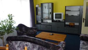 a living room with couches and a table and a tv at Penzion Tendr in Deštné v Orlických horách