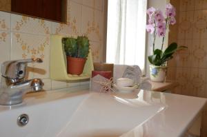 un bancone della cucina con lavandino e alcune piante di B&B LE ORTENSIE a Castagnole